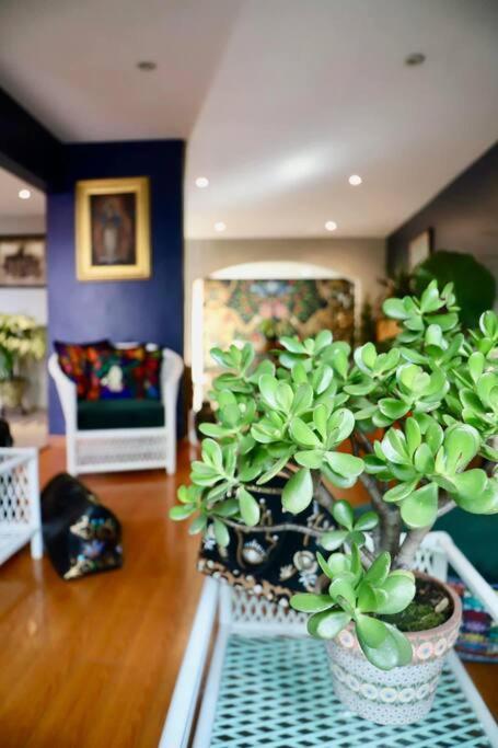 Luxurious Mid Century Modern Folk Art Home Mexico City Luaran gambar