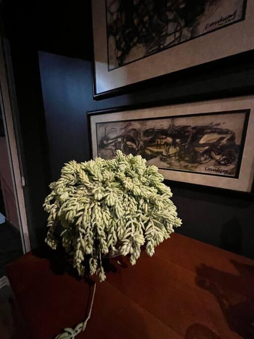 Luxurious Mid Century Modern Folk Art Home Mexico City Luaran gambar