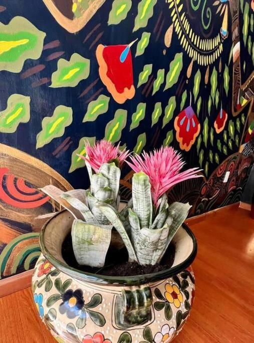 Luxurious Mid Century Modern Folk Art Home Mexico City Luaran gambar